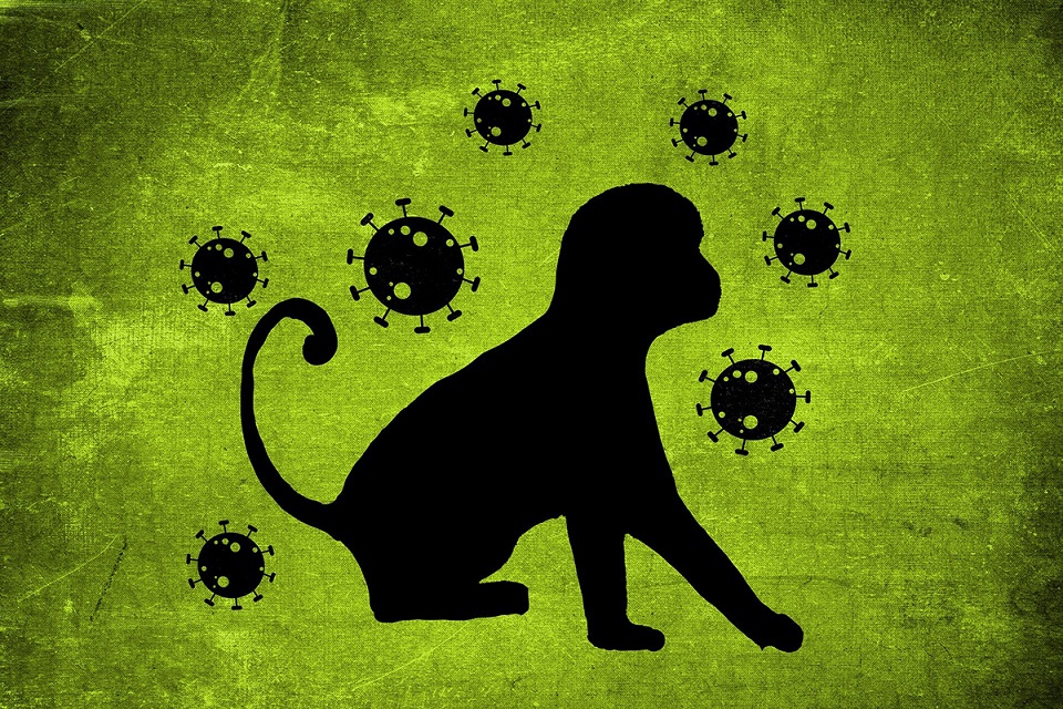 О текущей ситуации по оспе обезьян в мире