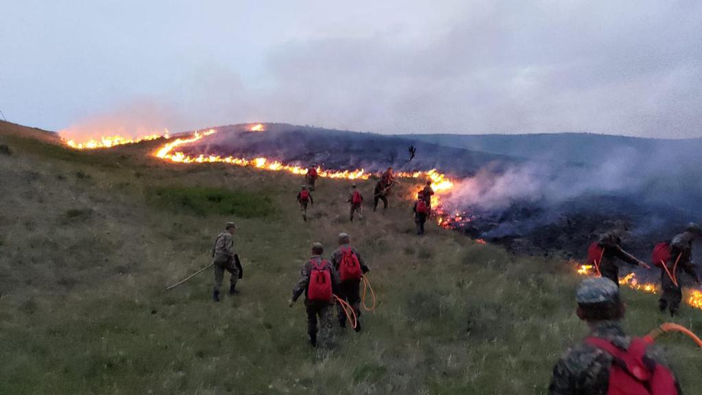 Тушение пожара в Каркаралинском районе продолжается наземным и воздушным способами
