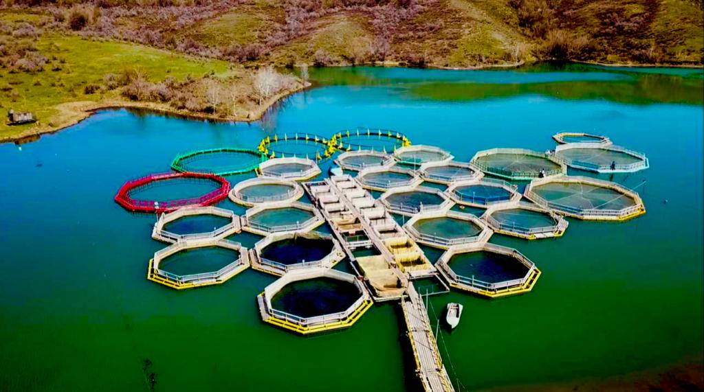 Порно сағатты жеп қойыңыз