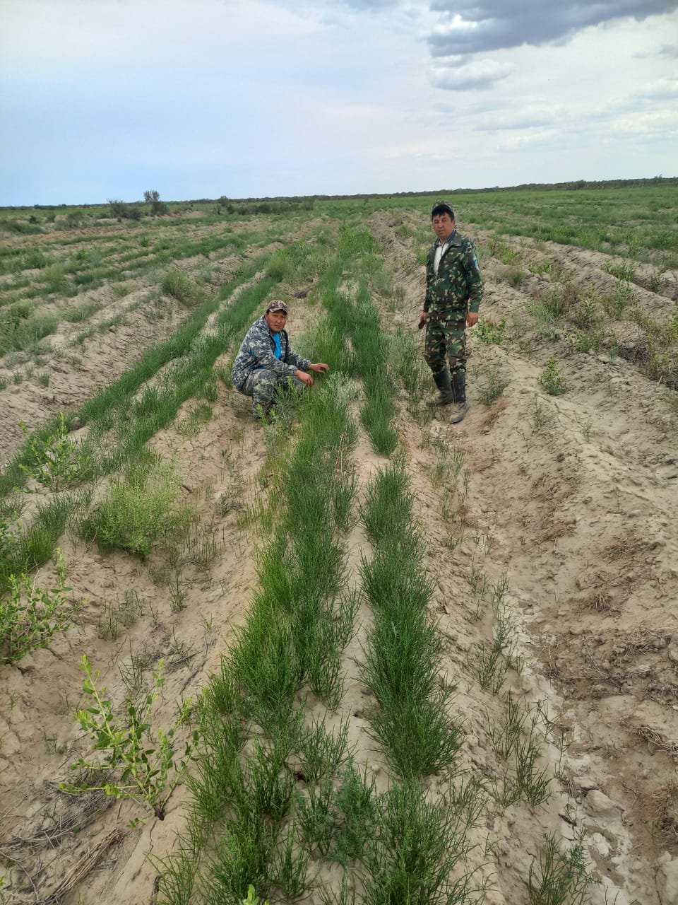 Секс машинасының азаптауы туралы порно видео