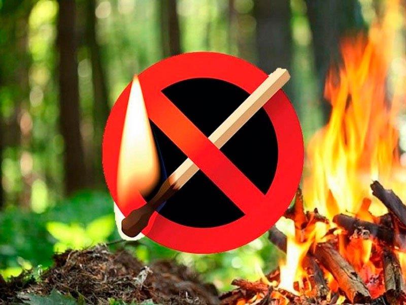 Жазғы өрт қауіпсіздігі: алдын-алу шаралары 19 маусым 2024 - 15:38