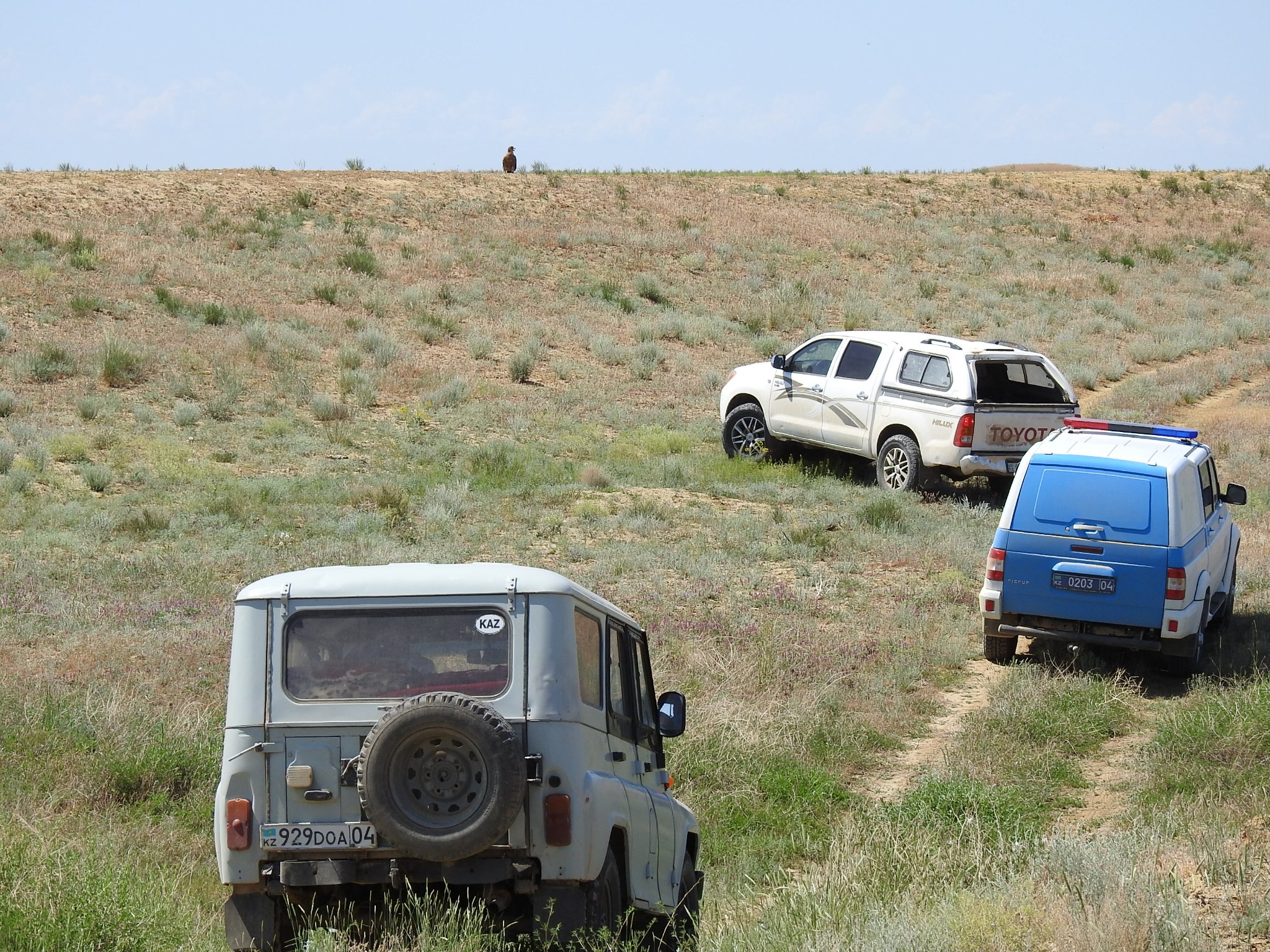 Орыс қызметшілері порно видеода колготкисіз жүреді