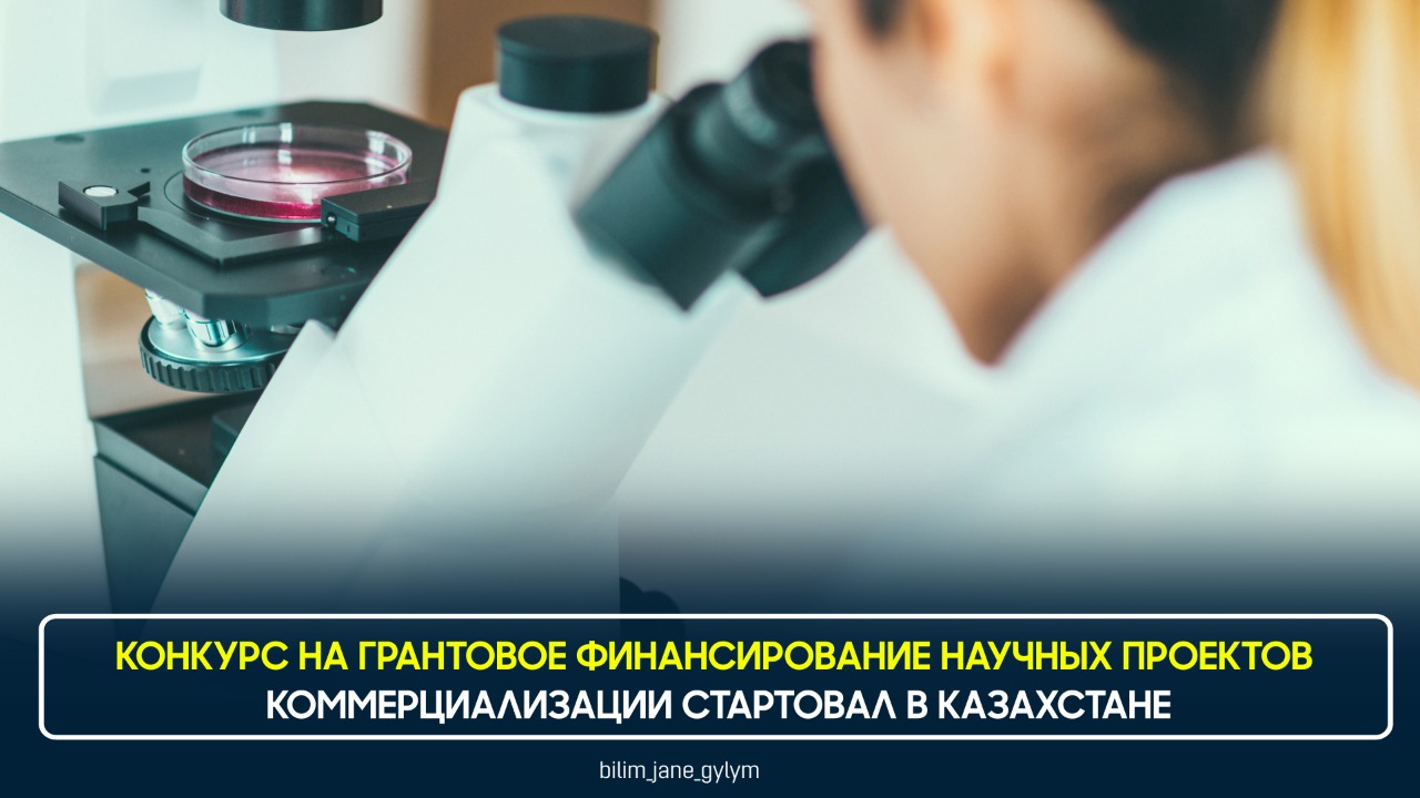 Проекты грантовое финансирование