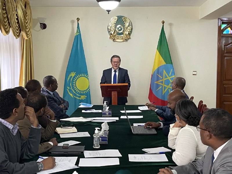 Эксперты Эфиопии заинтересованы в изучении внешней политики и реформ Казахстана