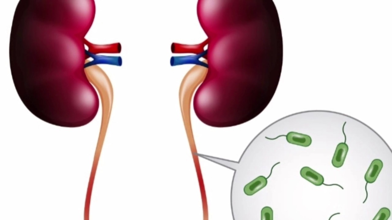 Гимнаст жаттықтырушысын әдемі есегі мен сиськиімен еліктірді.