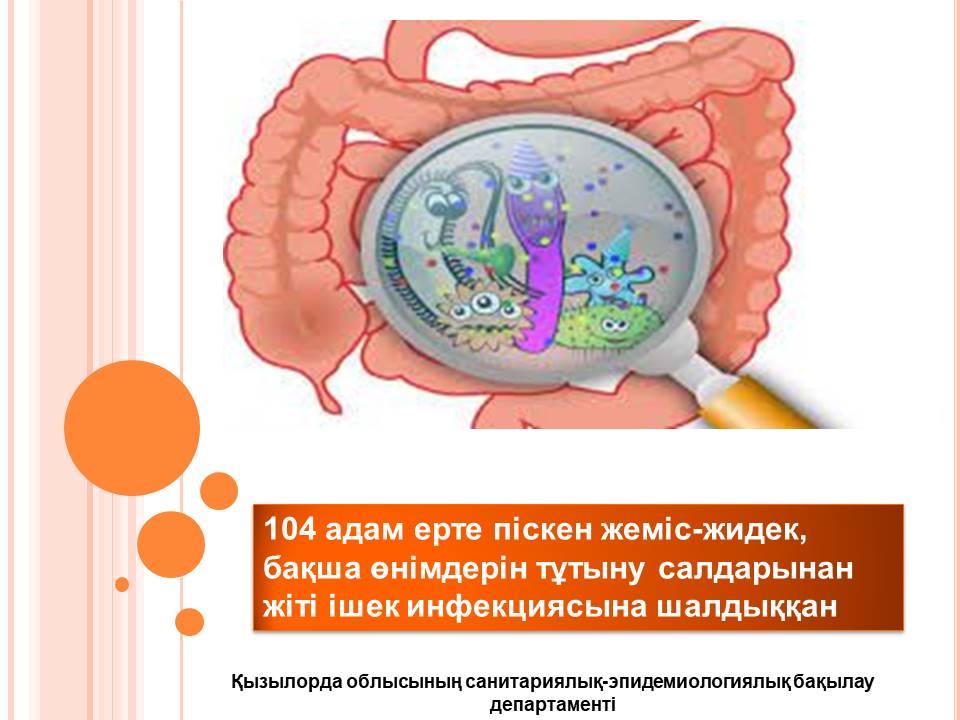 Интернеттегі егіздердің азғындық порносы
