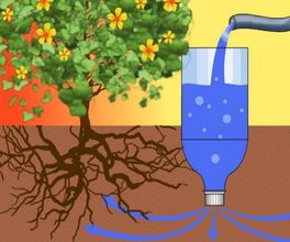 Как экономно и рационально использовать воду