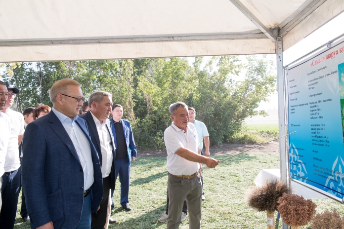 Tourism, "green" energy and agriculture are the foundations of the development of the Sarkansky district