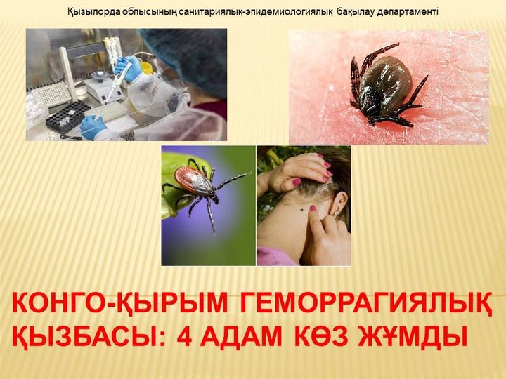 Сашамен онлайн БДСМ порно видео Ерекше әйел кискаларының фотосуреттерін қараңыз