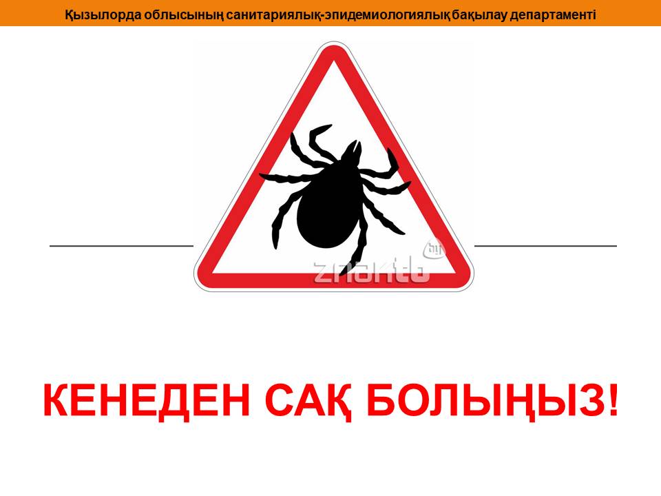 Ұйықтататын таблеткалары бар порнография сізді тез ұйықтатады