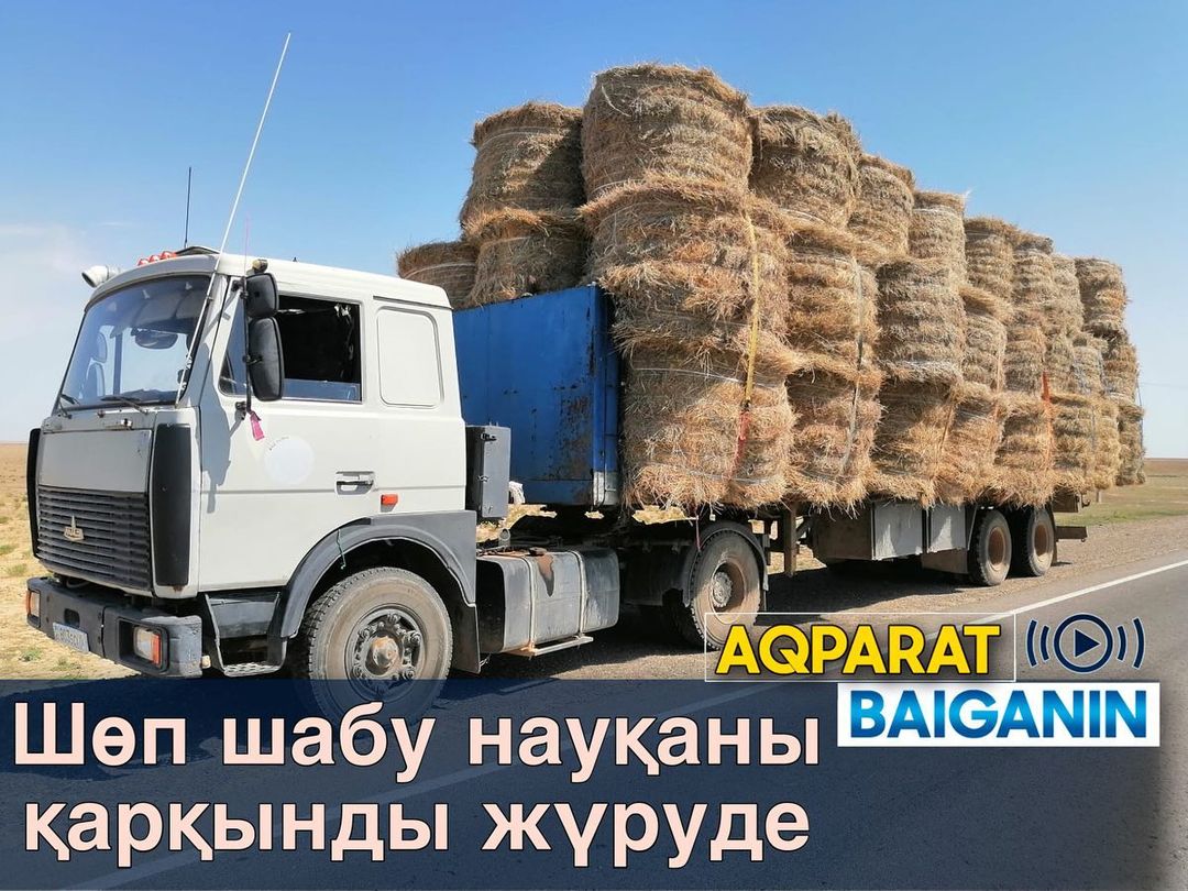 Тоғандағы секс видео