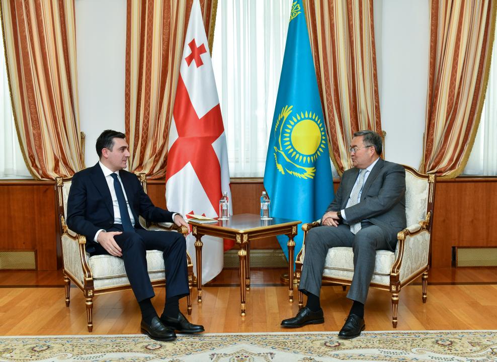 Главы МИД Казахстана и Грузии провели переговоры в Нур-Султане