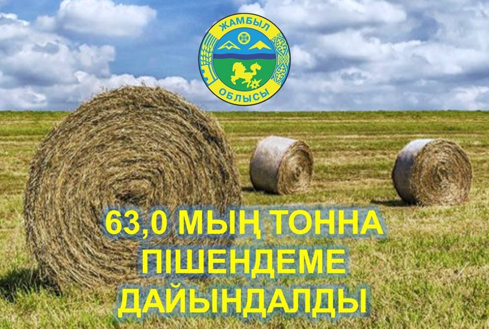 Қара жігіттер ыстық аналарды қатты трахает Сексуалдық құлдарды жазалау