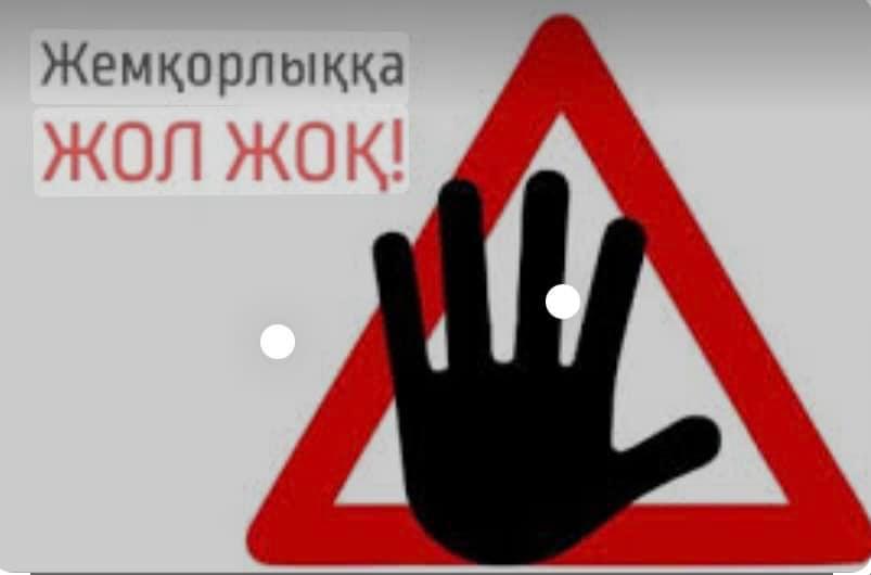 HD форматында порно көру