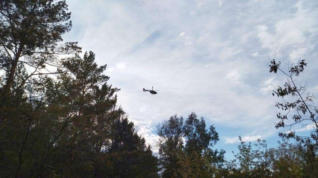 Пожар в лесопосадке в Караганде локализован