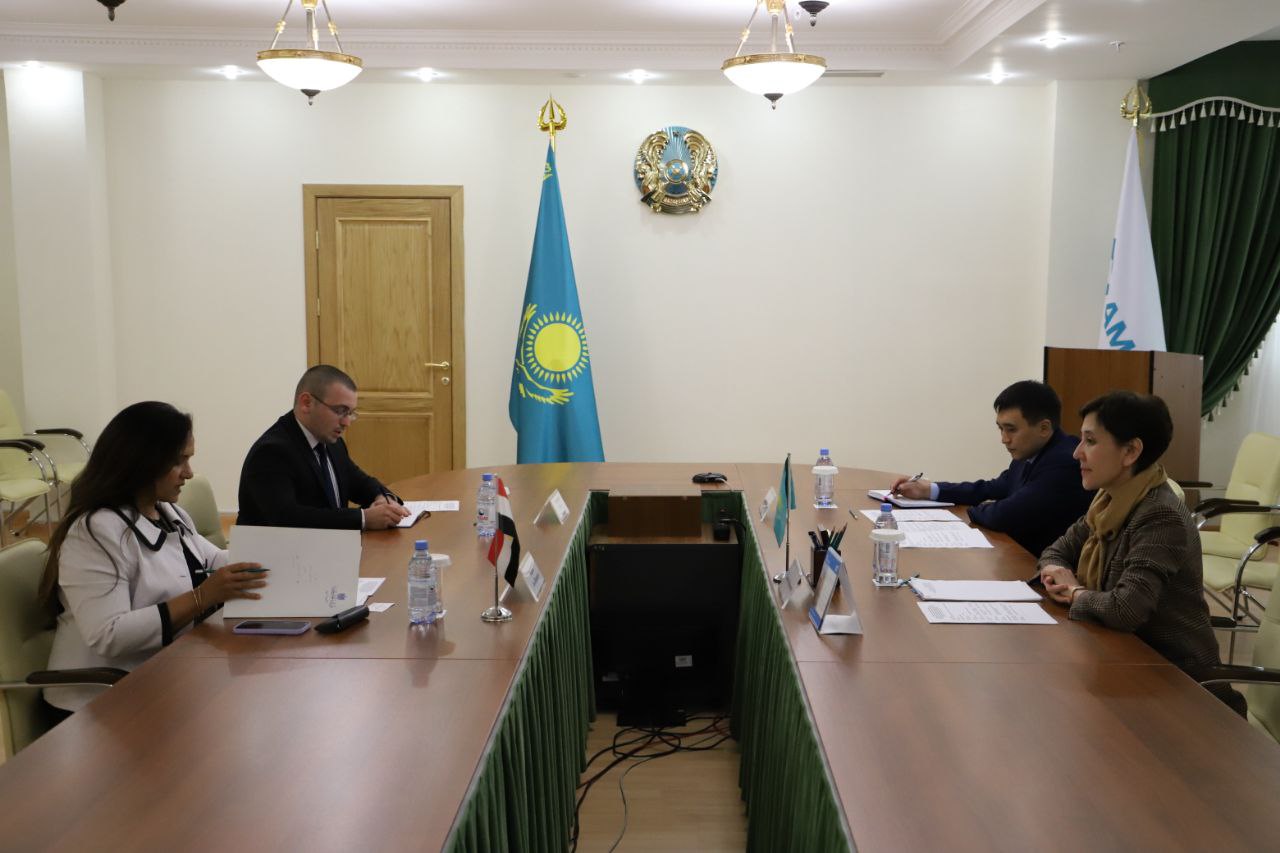 Т. Дүйсенова Мысыр елшісімен әлеуметтік-еңбек саласында тәжірибе алмасу ...