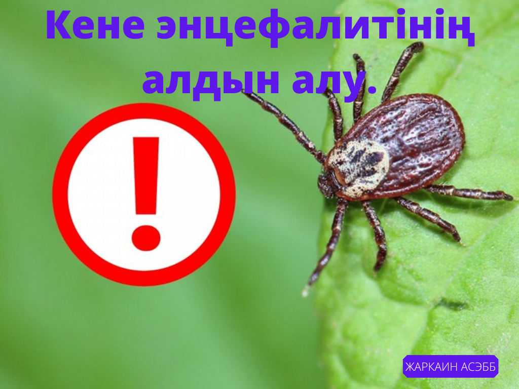 Резеңке қуыршақтарды сиқытқанда ер адамдар не сезінеді?