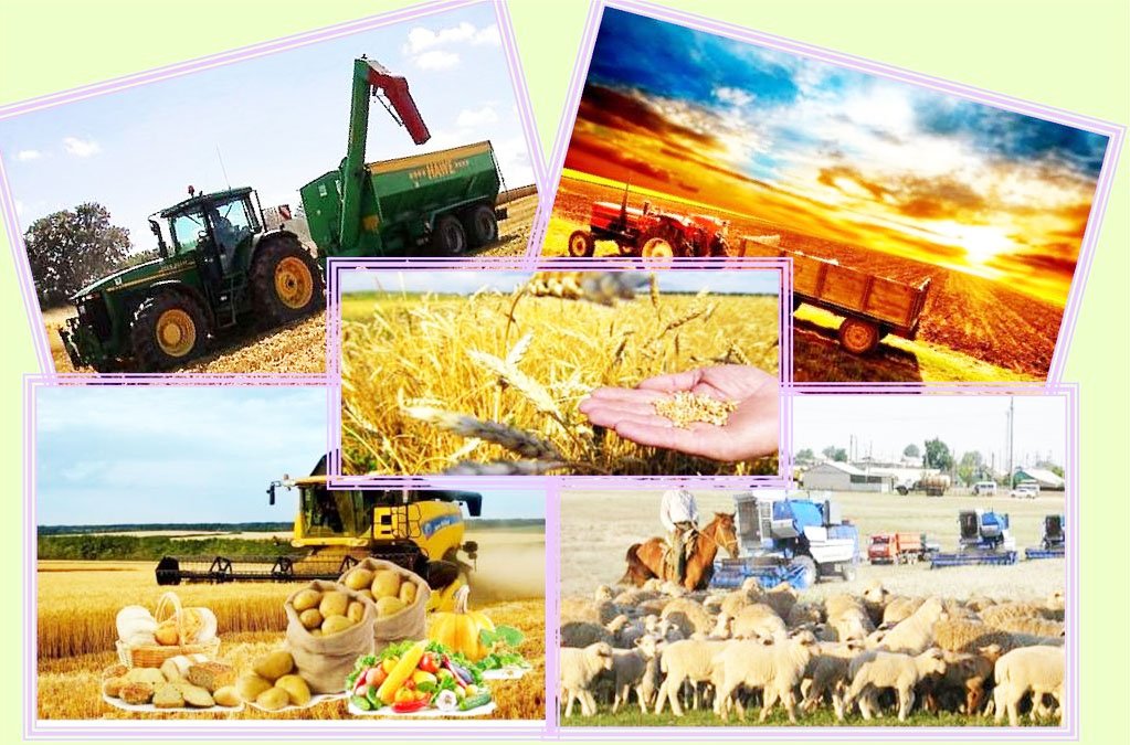 Ауыл моншасындағы оргиялар