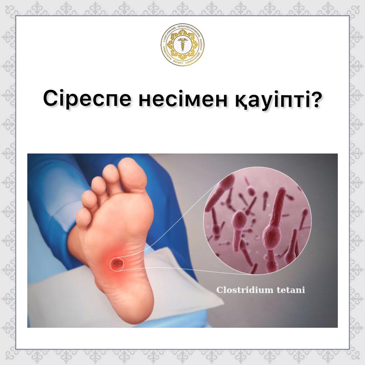 Смоленск әйелдерінің эротикалық фотосуреттері