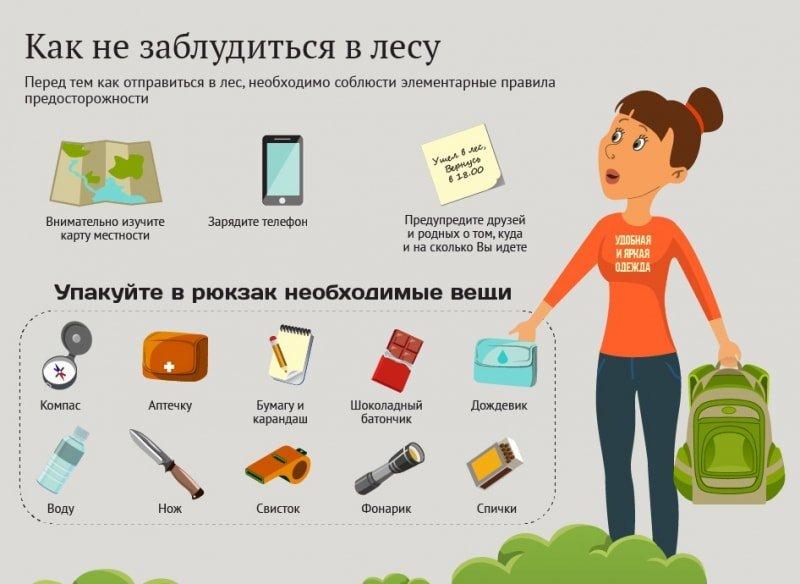 Безопасный поход в лес. Советы от спасателей