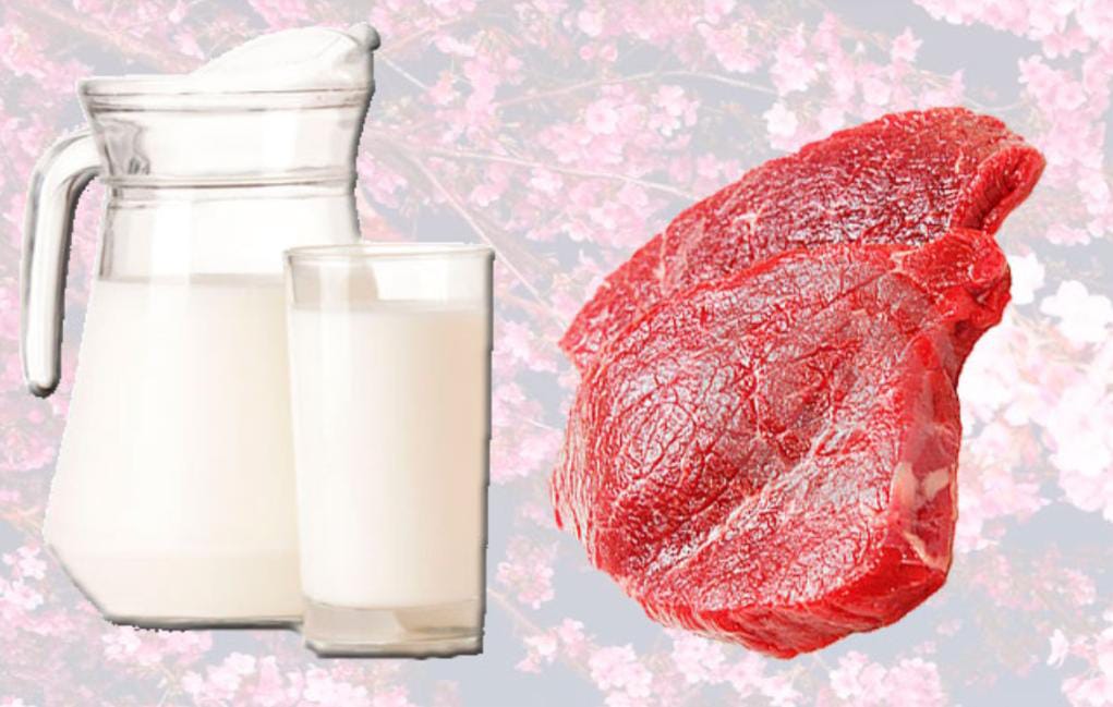 Жуынатын бөлмедегі жастардың HD порносы Күйеуінің белдікпен ұрған видеосы