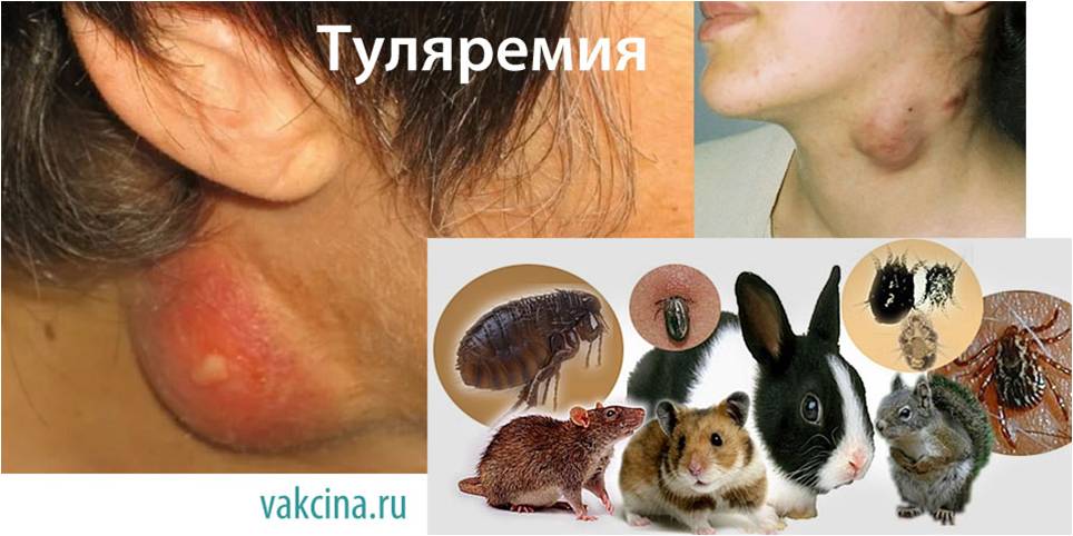 Хардкор нәсіларалық анал топтық секс