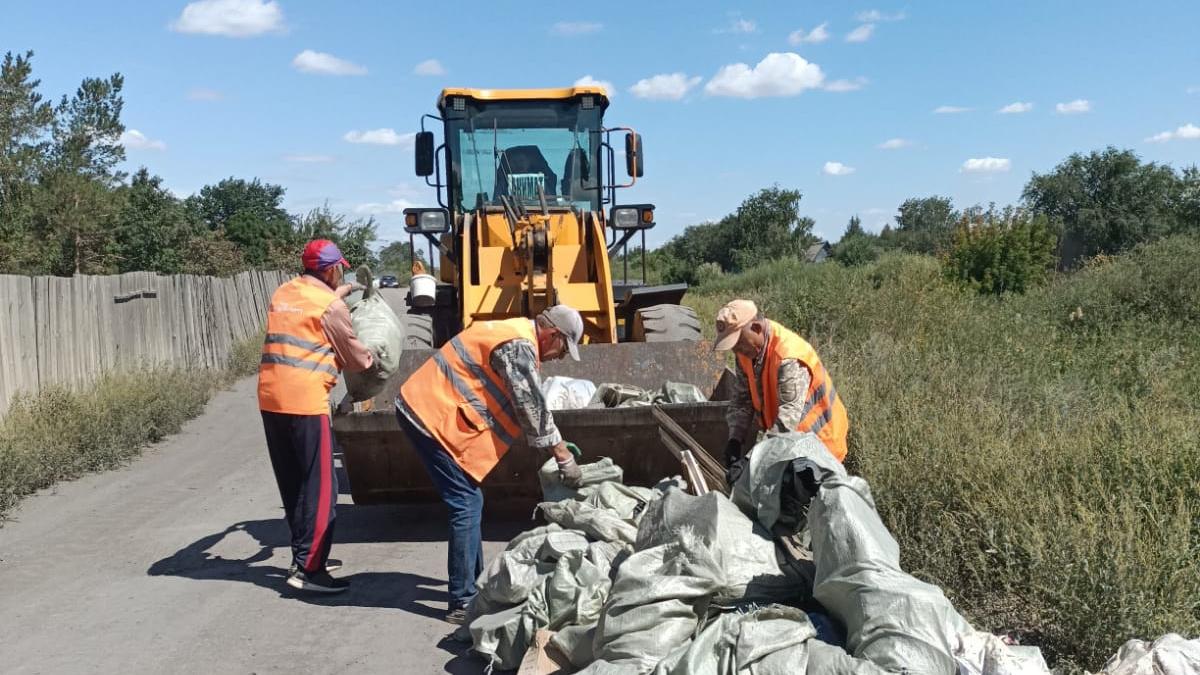 Жап-жабылған киска фотосын жалау