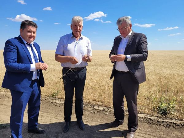 Жыныстық танысу Николаев