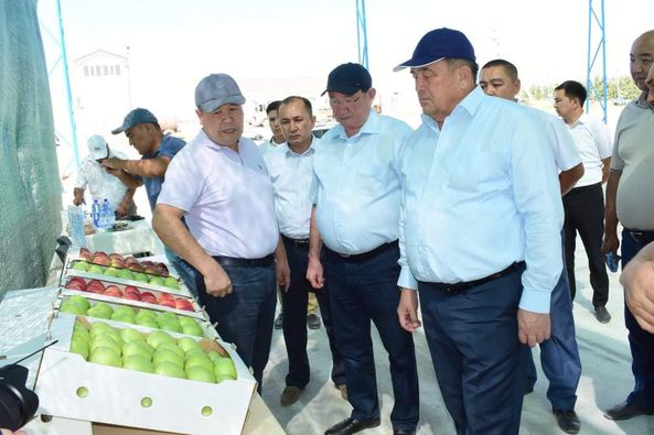 ТҮРКІСТАН:  СЕНАТОРЛАР ҚАЗЫҒҰРТТЫҚ ШАРУАЛАРДЫҢ ЖҰМЫСТАРЫН ОҢ БАҒАЛАДЫ