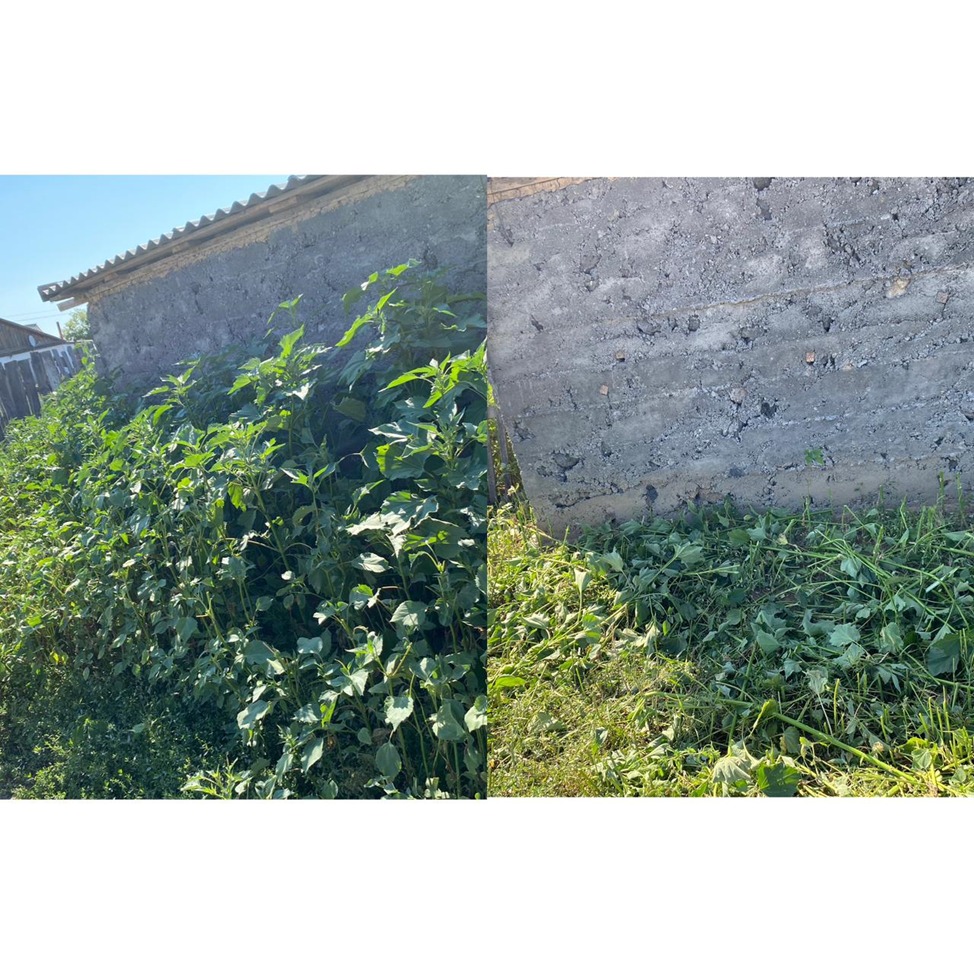 Аты-жөні бойынша минет