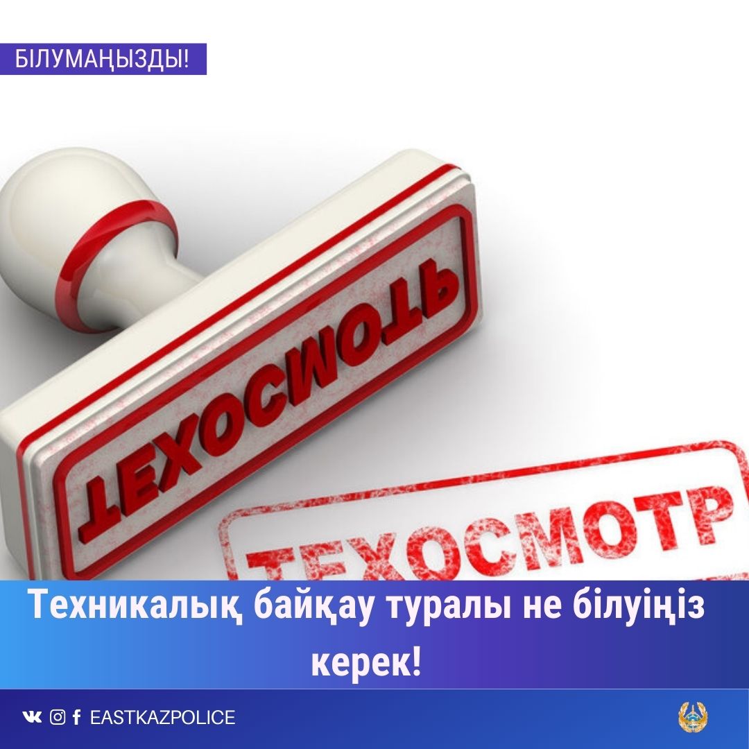 Лесби порно браззерлер