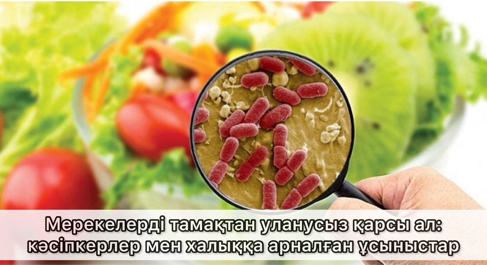 Мерекелерді тамақтан уланусыз қарсы ал: кәсіпкерлер мен халыққа арналған ұсыныстар