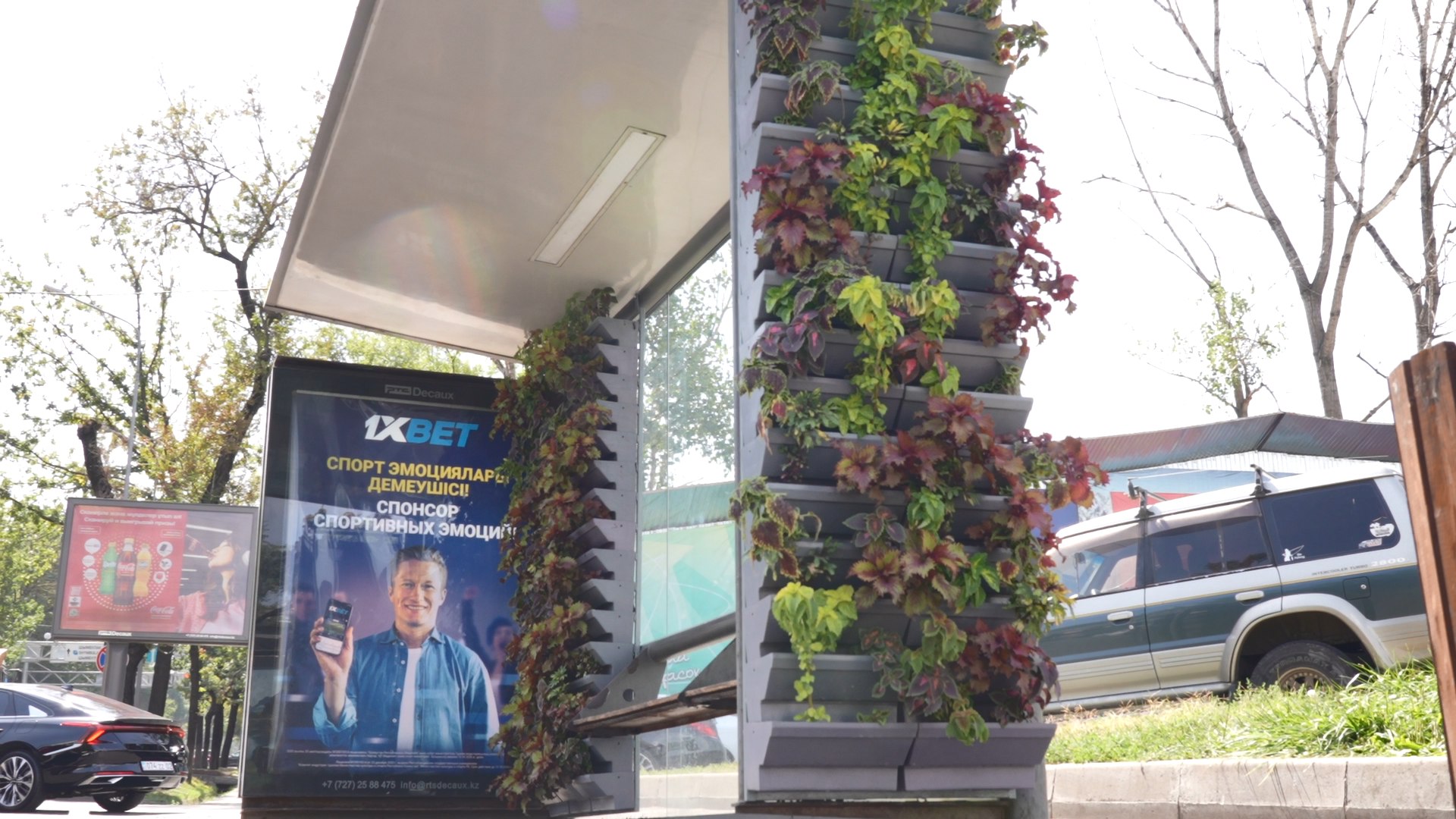 В Алматы применили вертикальное озеленение при декорировании улиц