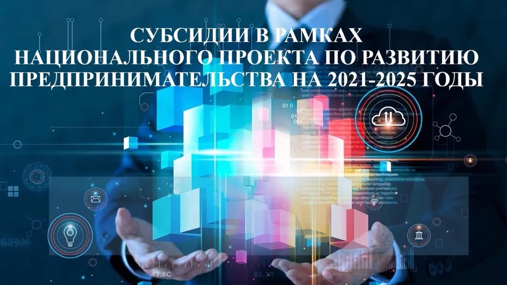 Реализация Национального проекта по развитию предпринимательства