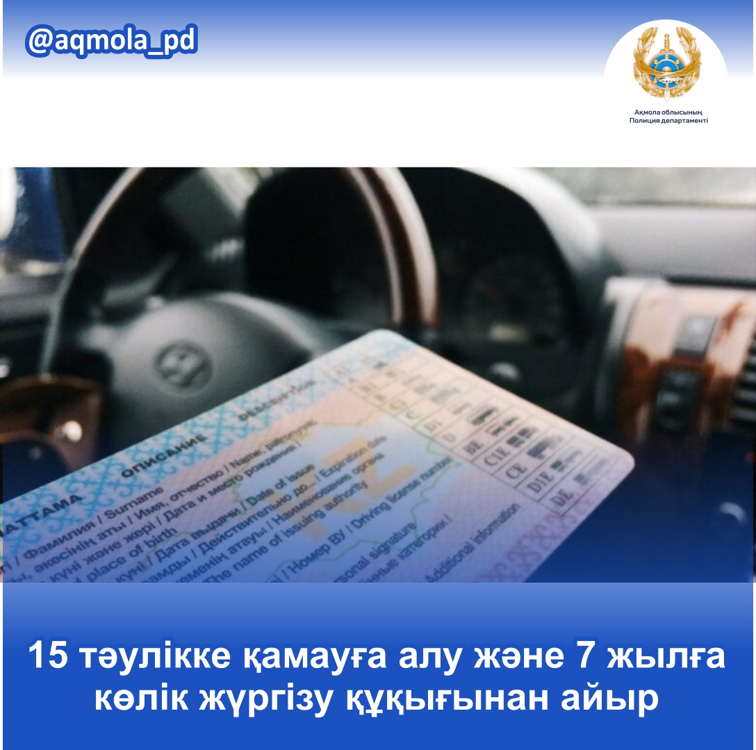 шырынды үй письки