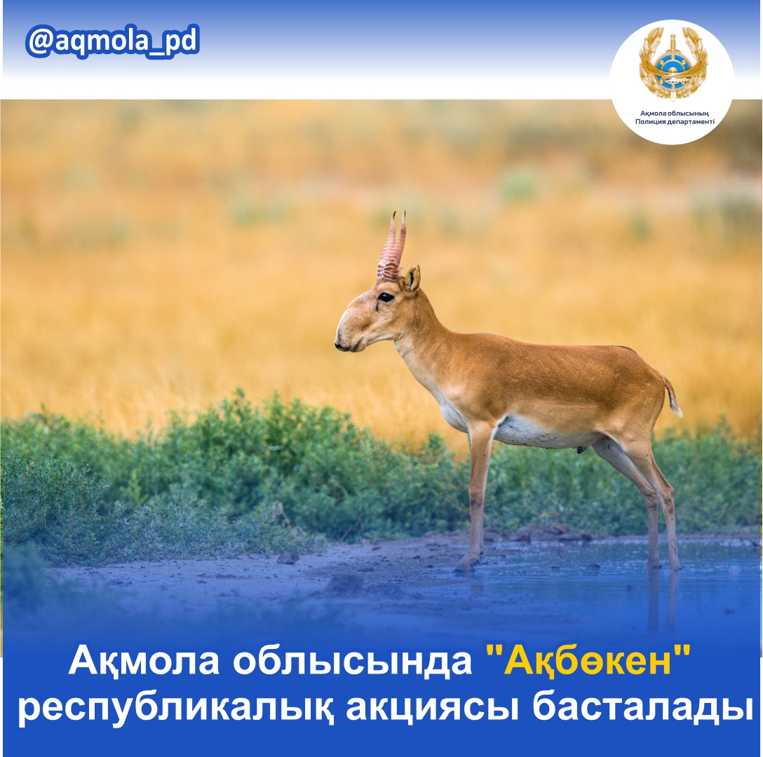 Ольга Дроздованың қынапшасы