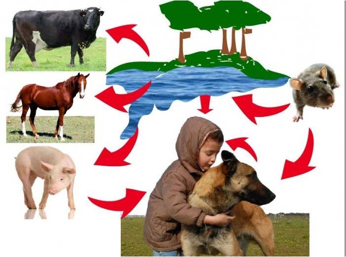 Ананың сиқыршысының суреті Адамдар жалаңаш жүретін жағажай порно видео