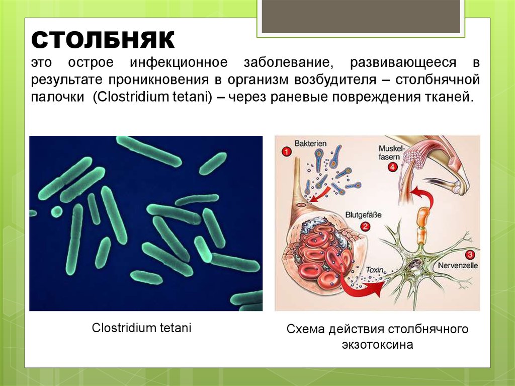 Қара лагунаның қарақшылары секс