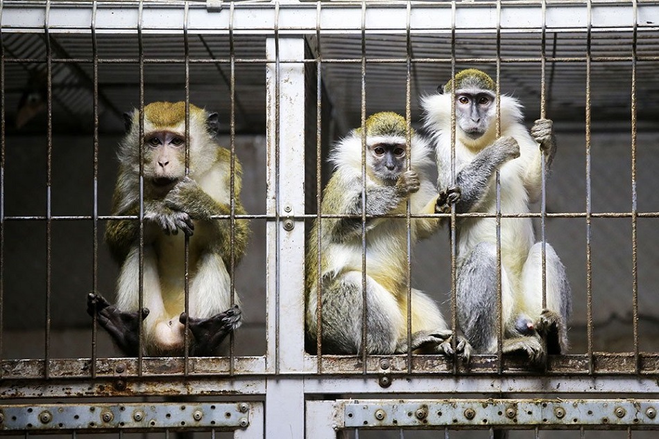 Порно анамды ваннада ұстап алды