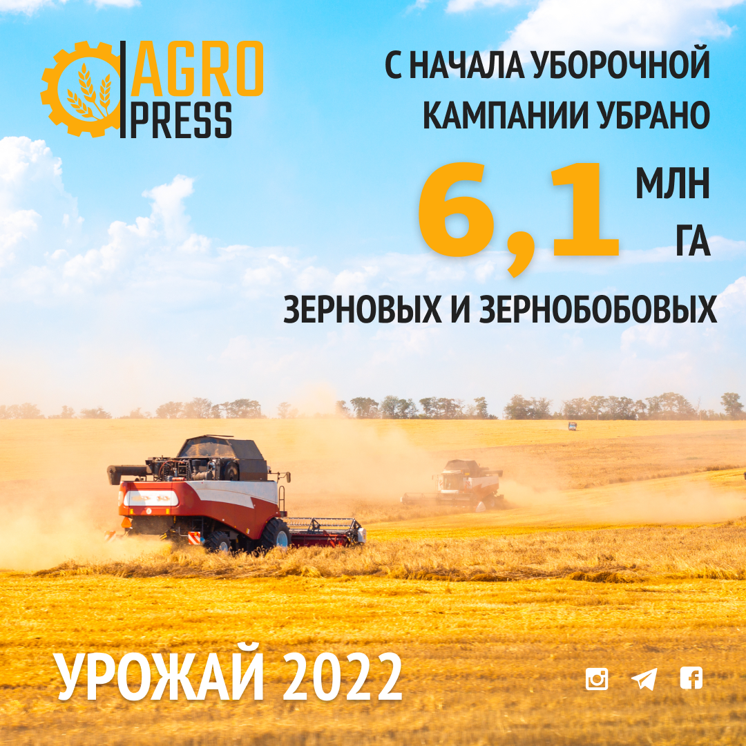 Урожай 2022: С начала уборочной кампании убрано 6,1 млн га зерновых и зернобобовых