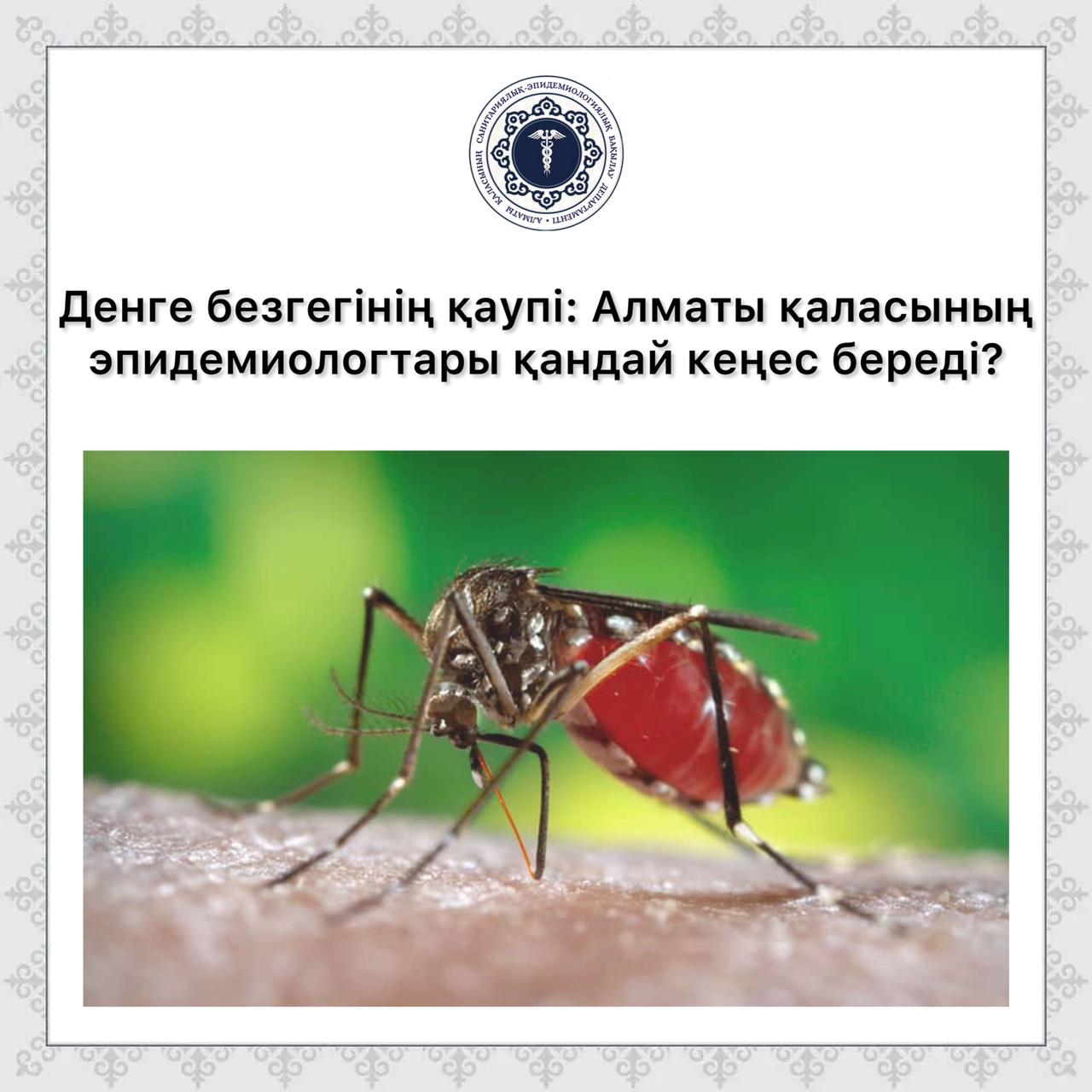 Денге безгегінің қаупі: Алматы қаласының эпидемиологтары қандай кеңес береді?