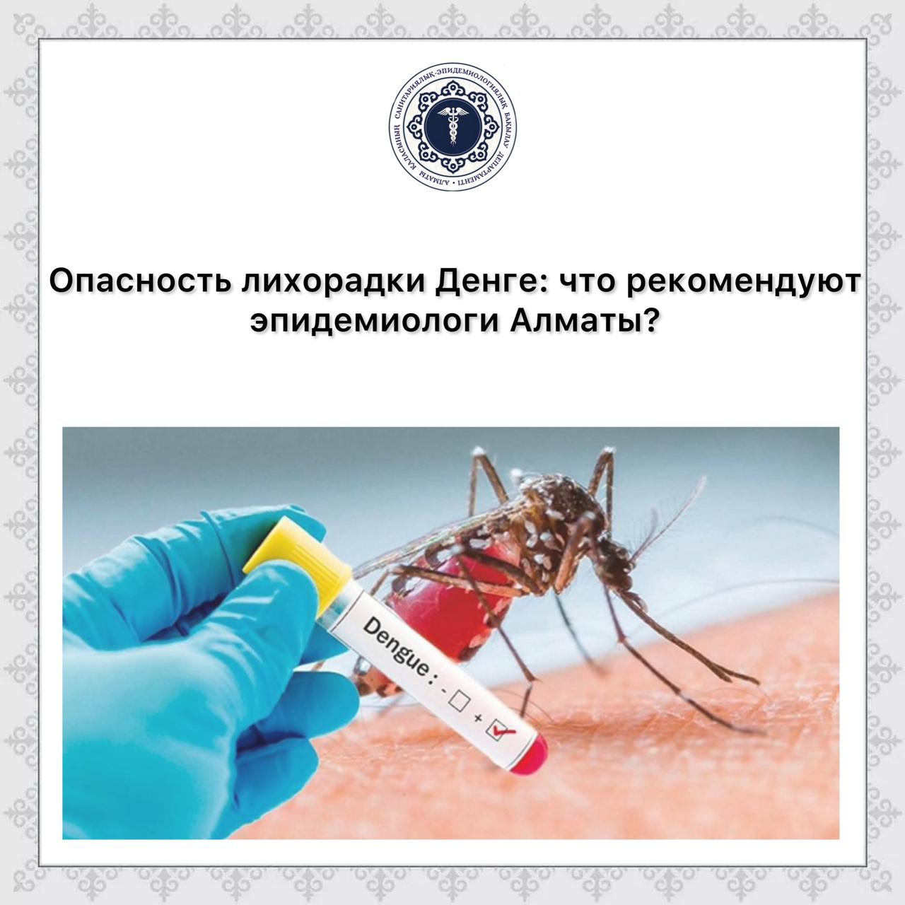Опасность лихорадки Денге: что рекомендуют эпидемиологи Алматы?