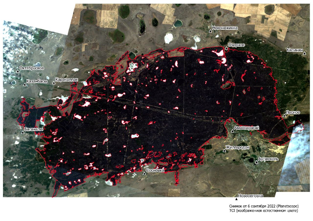 Очаги возгорания леса в Костанайской области отслеживали через спутники