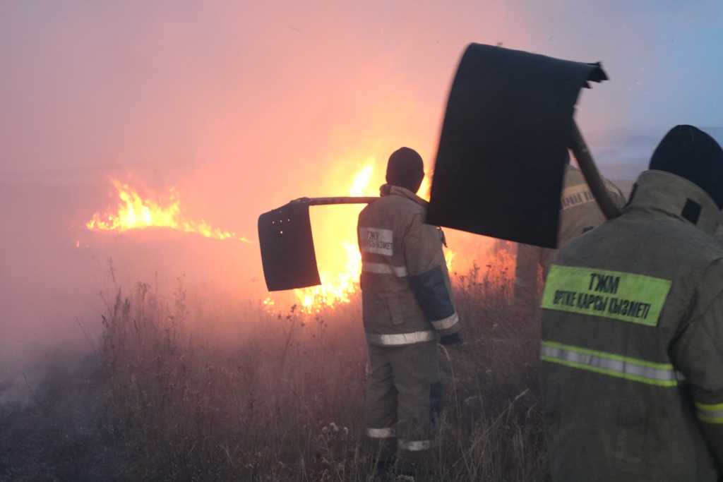 В Карагандинской области обстановка стабилизировалась, очаги природных пожаров ликвидированы