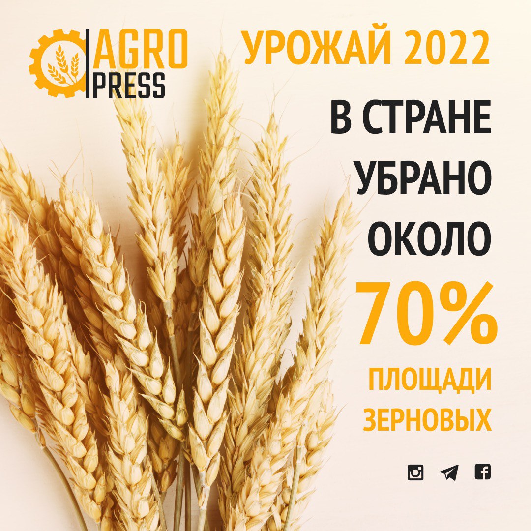Урожайность 2022 года. Новый урожай пшеницы". Урожай. АГРОПРОДЭКСПО 2022.. Макет урожай зерна. Уборка зерновых 2022.