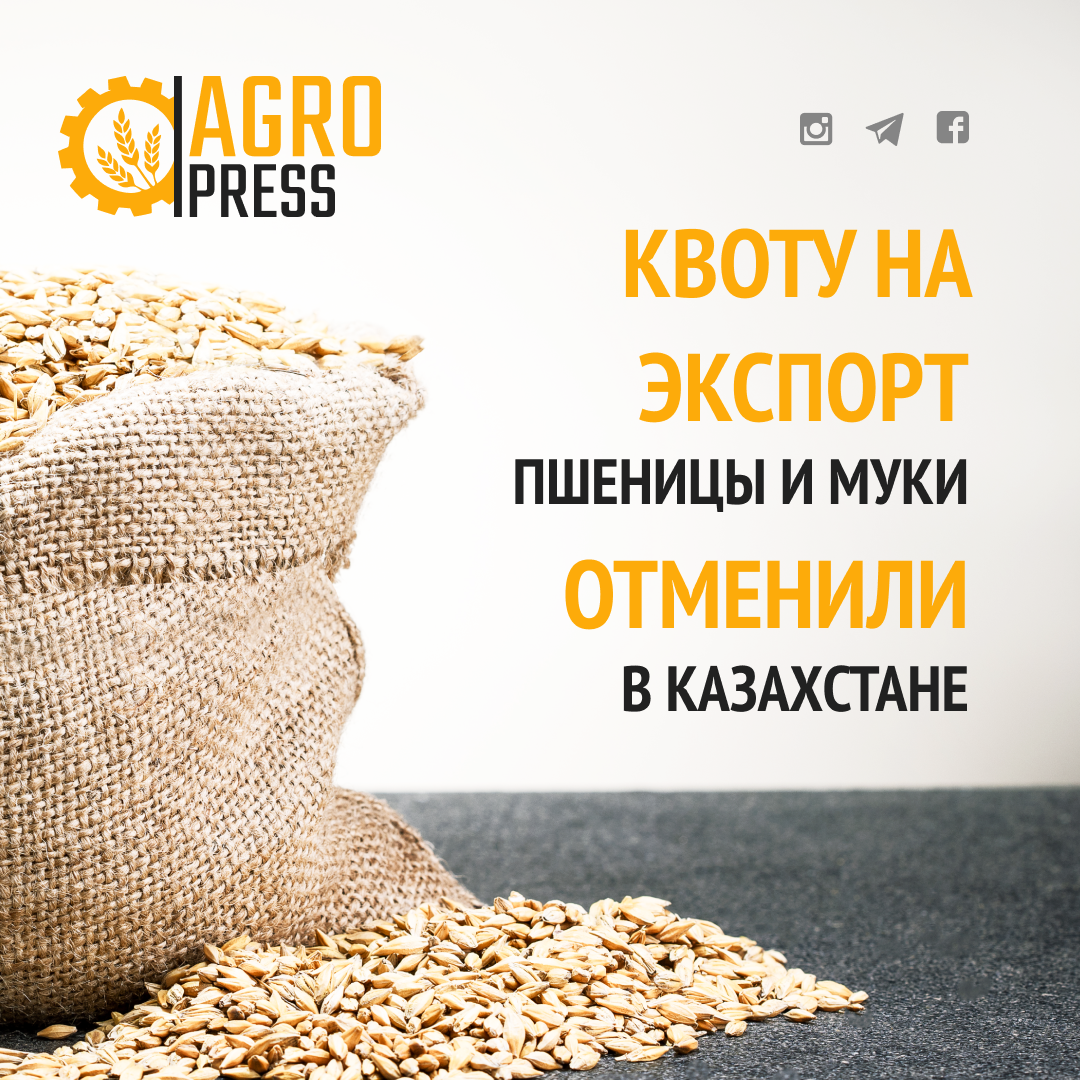 Квоту на экспорт пшеницы и муки отменили в Казахстане