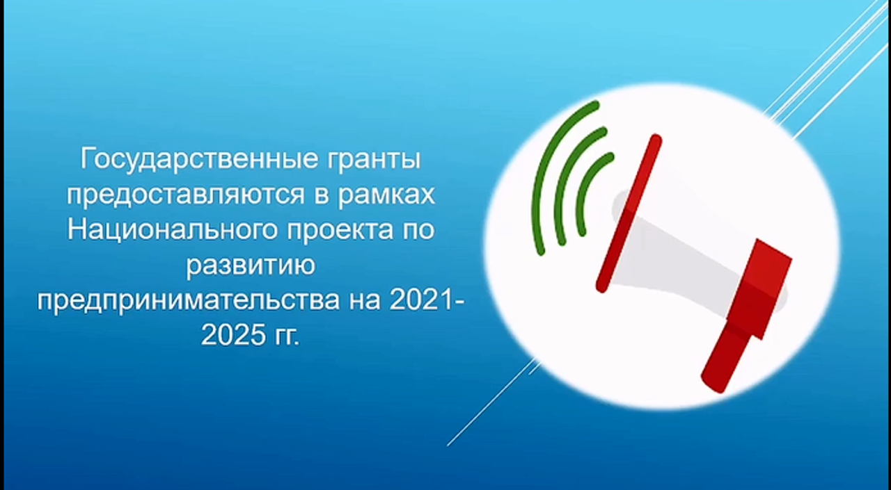 Государственное финансирование предпринимательской деятельности
