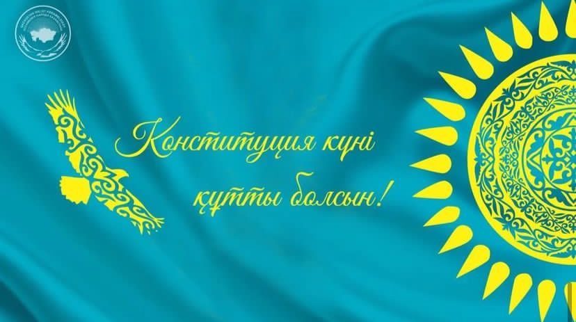 Қыздардың түкті киска фотосуреттері Сүйкімді есек фото