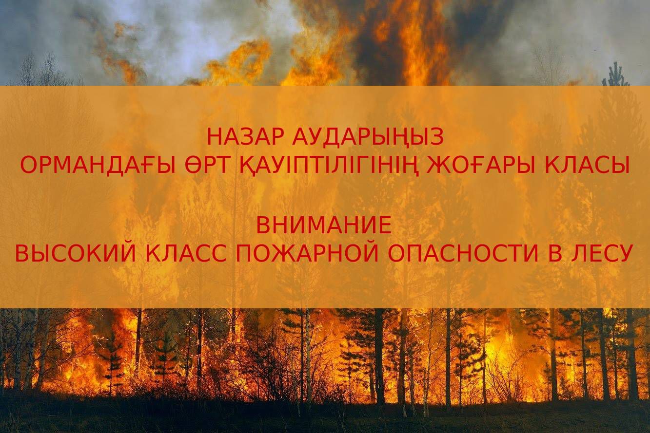 НАЗАР АУДАРЫҢЫЗ! ЖОҒАРЫ ӨРТ ҚАУПІ КЕЗЕҢІНДЕ ОРМАНҒА БАРУДАН АУЛАҚ БОЛЫҢЫЗДАР!