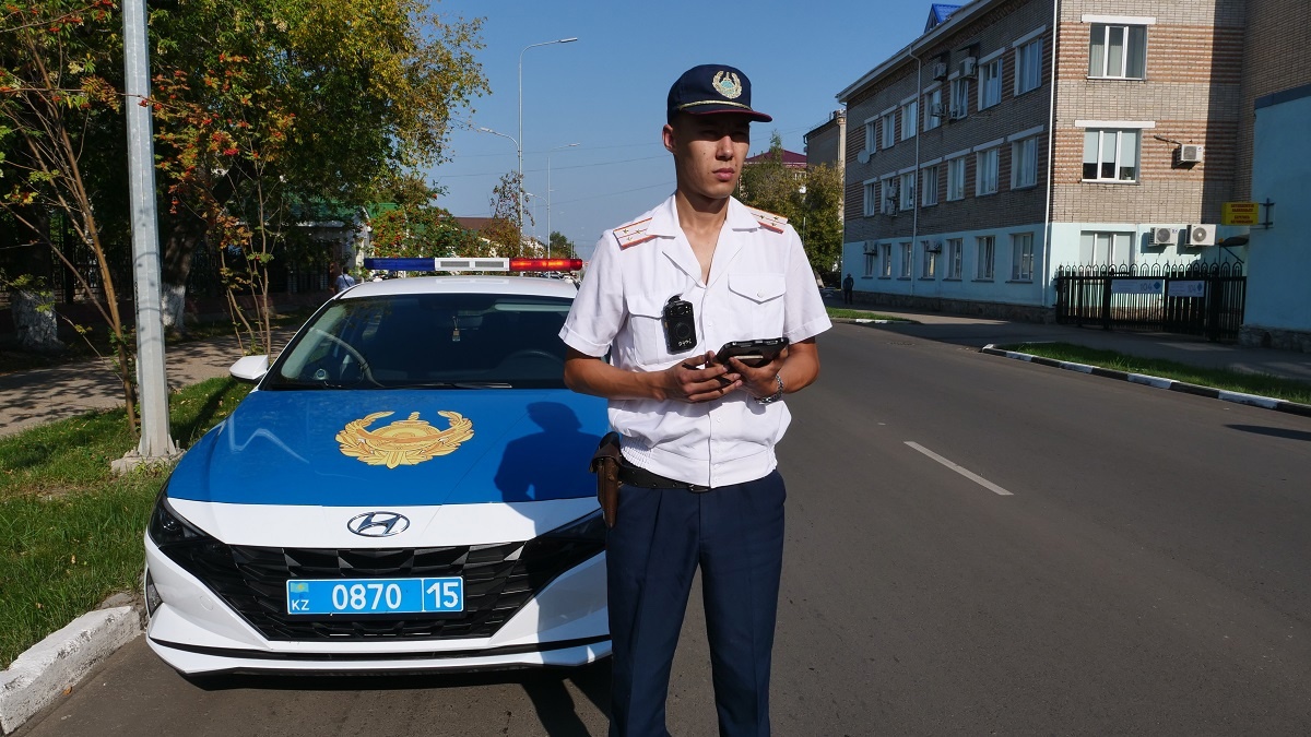 Жезөкшелер